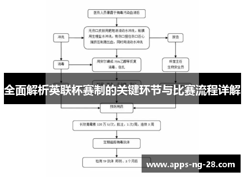 全面解析英联杯赛制的关键环节与比赛流程详解 全面解析英联杯赛制的关键环节与比赛流程详解