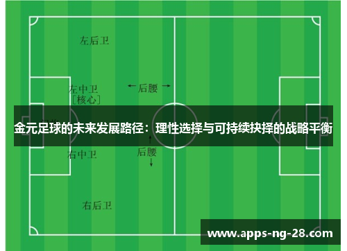 金元足球的未来发展路径：理性选择与可持续抉择的战略平衡