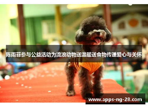 陈雨菲参与公益活动为流浪动物送温暖送食物传递爱心与关怀 陈雨菲参与公益活动为流浪动物送温暖送食物传递爱心与关怀