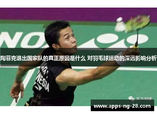陶菲克退出国家队的真正原因是什么 对羽毛球运动的深远影响分析 陶菲克退出国家队的真正原因是什么 对羽毛球运动的深远影响分析