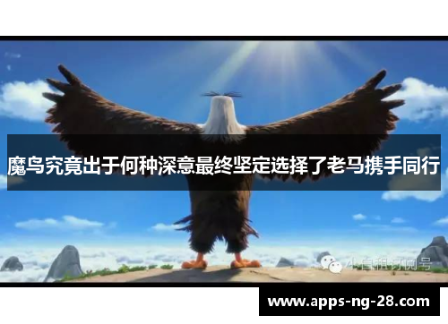 魔鸟究竟出于何种深意最终坚定选择了老马携手同行