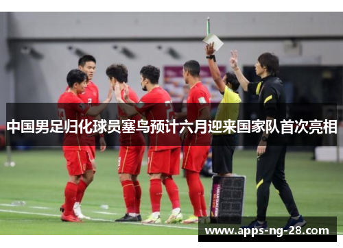 中国男足归化球员塞鸟预计六月迎来国家队首次亮相